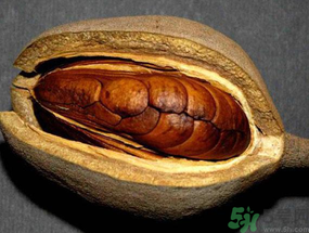 向天果多少錢(qián)一斤？向天果價(jià)格