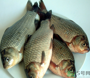 秋天釣鯽魚用什么餌料？秋天釣鯽魚用什么味餌？