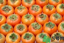 脆柿子是怎么做好吃？脆柿子的制作方法