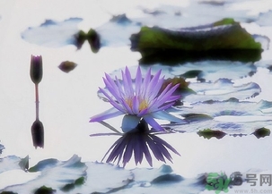 寒露穿什么鞋子？寒露可以穿涼鞋嗎？