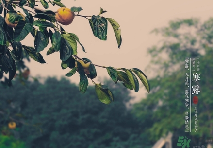 寒露穿什么鞋子？寒露可以穿涼鞋嗎？