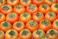 吃柿子喝酸奶會中毒嗎？吃柿子可以喝酸奶嗎？