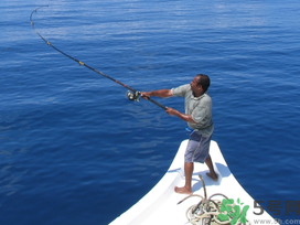 秋天釣鯉魚用什么味型？秋季釣鯉魚餌料味型