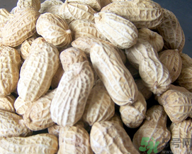 新鮮花生可以放冷凍嗎？新鮮花生可以放冰箱嗎？