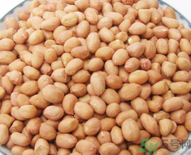 花生米可以放冰箱嗎？花生米可以放冷凍嗎？