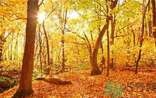 秋季幼兒如何預(yù)防感冒？秋季幼兒感冒怎么辦？