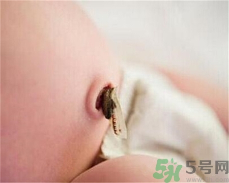 新生兒肚臍怎么護(hù)理？新生兒肚臍什么時(shí)候掉？