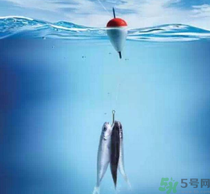 秋天釣魚深水還是淺水？秋天釣魚釣深水還是淺水？