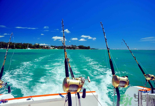 秋天釣魚深水還是淺水？秋天釣魚釣深水還是淺水？