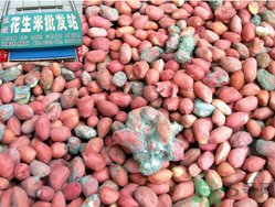 花生米發(fā)霉了還能吃嗎？花生米發(fā)霉了怎么辦？
