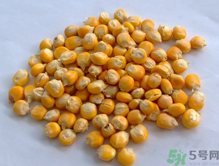 玉米用什么泡釣魚好？玉米怎么泡好釣魚？