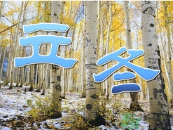 立冬可以栽樹嗎？立冬栽樹樹會死嗎？