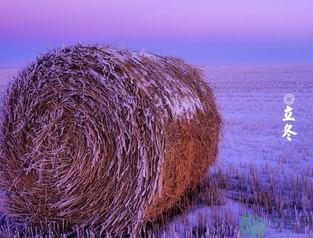 立冬可以釣魚嗎？立冬釣魚注意事項