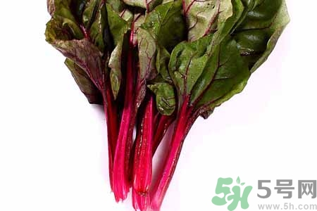 甜菜是甜的嗎？甜菜到底是不是甜的？