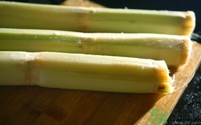 甘蔗空心能吃嗎？甘蔗空心了怎么辦？