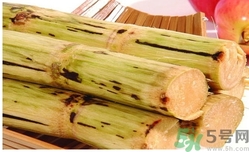 甘蔗過(guò)夜了能吃嗎？隔夜的甘蔗可以吃嗎？