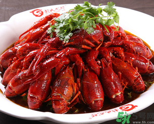 10月份還有龍蝦嗎？10月份龍蝦能吃嗎？