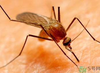 十月份還有蚊子嗎？10月份還有蚊子嗎？