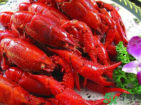 10月份還有龍蝦嗎？10月份龍蝦能吃嗎？