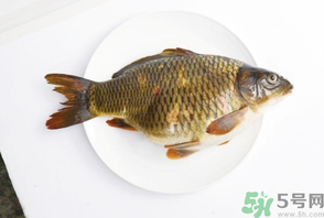 鯉魚(yú)死了還能吃嗎？鯉魚(yú)死了多久不能吃？