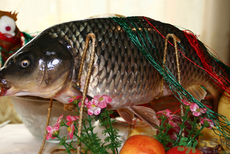 鯉魚(yú)死了還能吃嗎？鯉魚(yú)死了多久不能吃？
