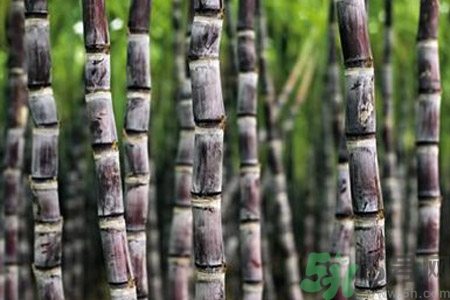 甘蔗發(fā)紅還能吃嗎？甘蔗中間發(fā)紅是怎么回事？