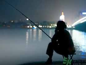 十月份還能夜釣嗎？十月份適合夜釣嗎？