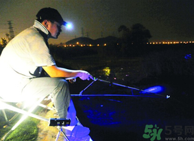 秋天可以夜釣嗎？秋天夜釣技巧