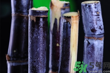 甘蔗一天吃多少最好？甘蔗能每天都吃嗎？