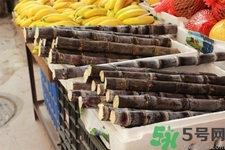 甘蔗一天吃多少最好？甘蔗能每天都吃嗎？