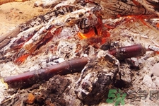 甘蔗能烤著吃嗎？甘蔗烤著吃有什么好處？