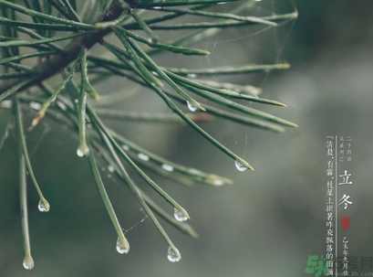 立冬可以回娘家嗎？立冬為什么不能回娘家？