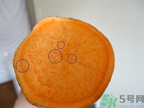 番薯發(fā)芽還能吃嗎？山芋發(fā)芽還能吃嗎？