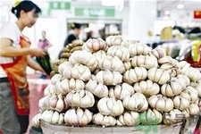 新蒜好還是老蒜好?新蒜辣還是老蒜辣? 新蒜好還是老蒜好?新蒜辣還是老蒜辣?