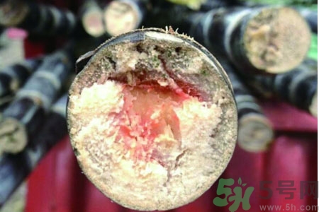 發(fā)霉的甘蔗吃了會中毒嗎？發(fā)霉的甘蔗長什么樣子？