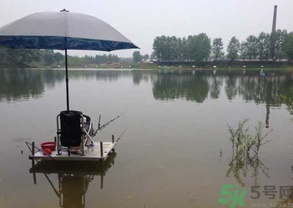 水庫(kù)釣魚(yú)用什么餌料？水庫(kù)釣魚(yú)用什么商品餌？