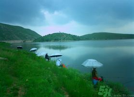 陰天好釣魚嗎？陰天釣魚好釣嗎？