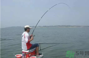 陰天好釣魚嗎？陰天釣魚好釣嗎？