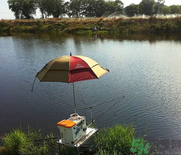 陰天好釣魚嗎？陰天釣魚好釣嗎？