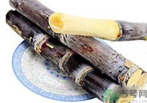 甘蔗可以放冰箱嗎？甘蔗可以在冰箱放多久？