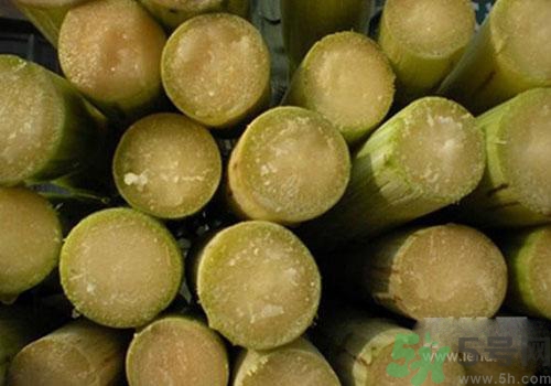 甘蔗可以放冰箱嗎？甘蔗可以在冰箱放多久？