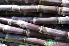 孕婦能吃甘蔗嗎？孕婦吃甘蔗會(huì)導(dǎo)致血糖升高嗎？