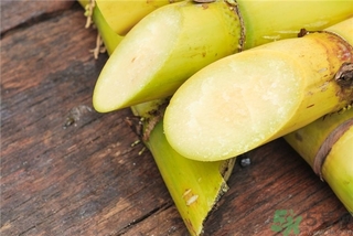 月經(jīng)期間能吃甘蔗嗎,經(jīng)期吃甘蔗可以嗎？