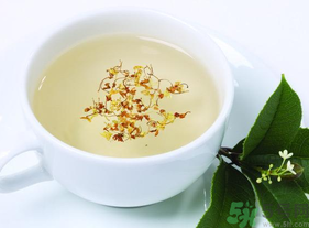 新鮮桂花能泡茶嗎？新鮮桂花怎么處理泡茶？