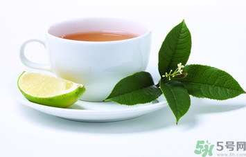 剛摘的桂花可以泡茶嗎？剛摘的桂花能泡茶嗎？