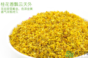剛摘的桂花有蟲怎么辦？干桂花長蟲怎么辦？