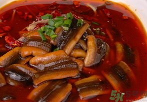 野生黃鱔有寄生蟲嗎？野生黃鱔怎么去寄生蟲？