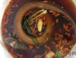 黃鱔泡酒喝能戒酒嗎？活黃鱔泡酒能戒酒嗎？