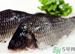 鯽魚死了一夜能吃嗎？鯽魚死了一天能吃嗎？