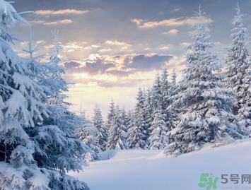 凍瘡是由于皮膚哪一部分受損而引起的？